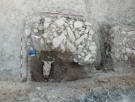 Разкопките на Ряховец започват на 13 септември